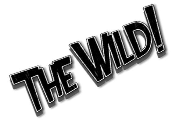The Wild! Get Airbourne
