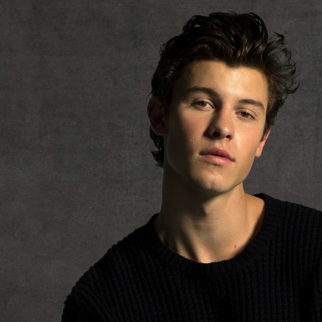Shawn Mendes Sells Out His First Ever Stadium Show In Minutes