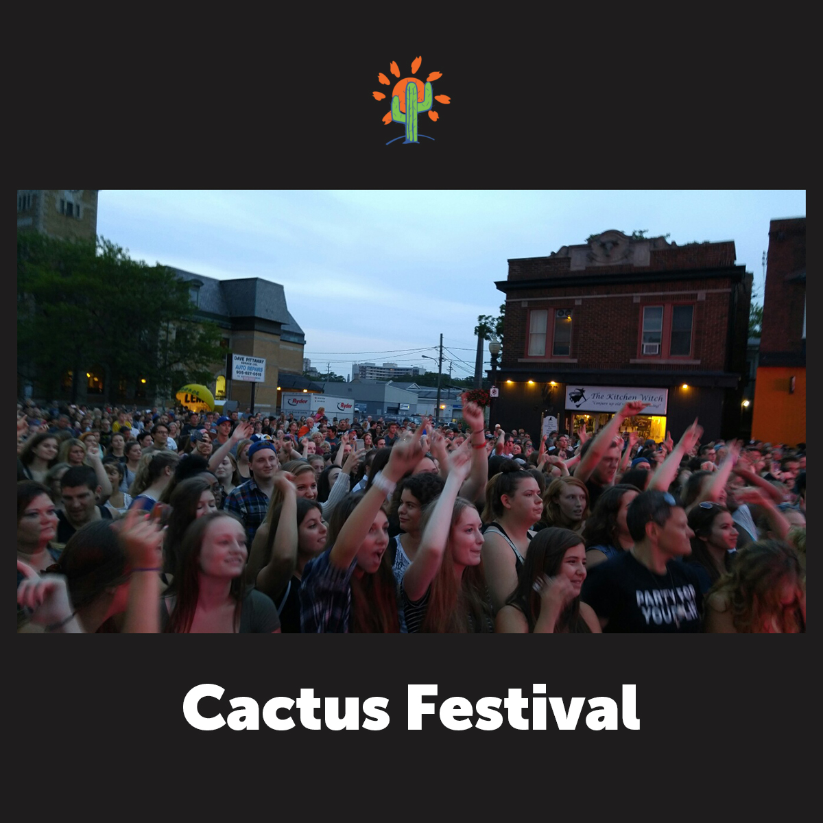 Cactus Festival